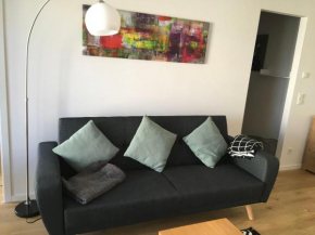 Alphahive flats centre Cluj-Napoca
